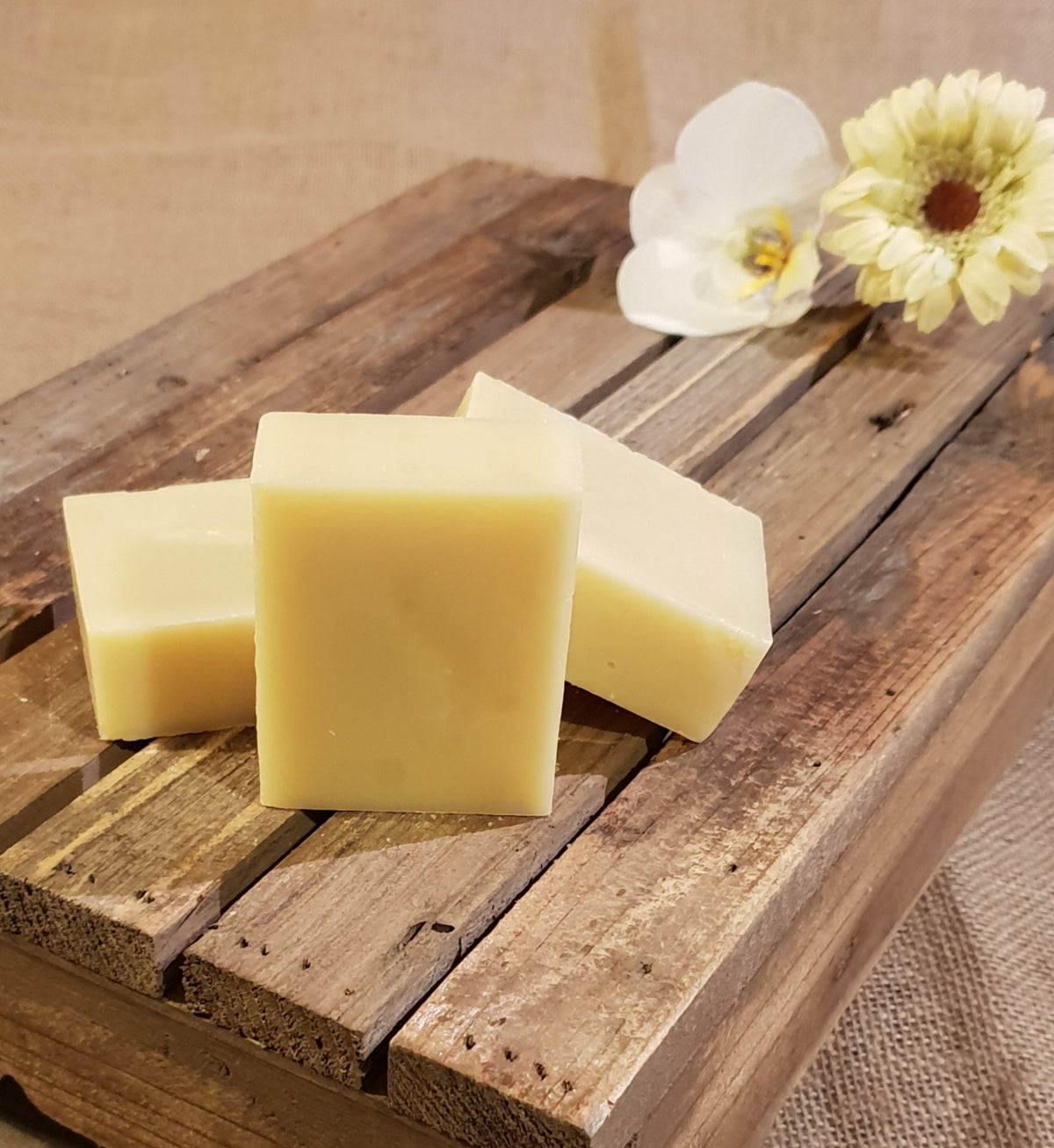 Tropical Morning Organic Soap