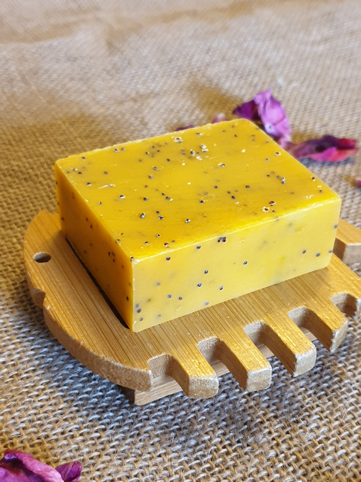 Fish Soap Dish